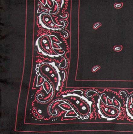 Silk Wild Rag - Bandana