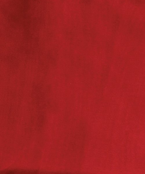 Silk Wild Rag - Solid