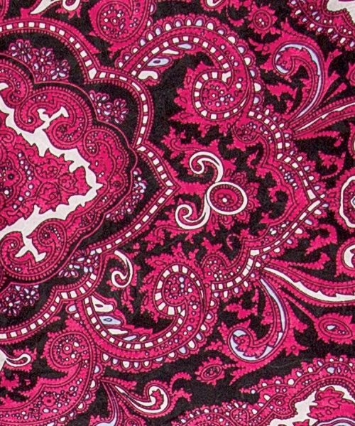 Assorted Silk Wild Rags Paisley